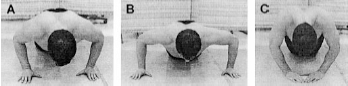 pushups conclusie